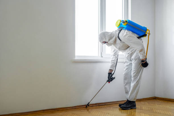 Best Emergency Pest Control  in Willimantic, CT